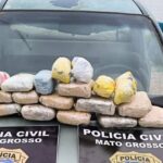 policia-civil-prende-homem-que-transportava-18-tabletes-de-maconha-trazidos-da-bolivia